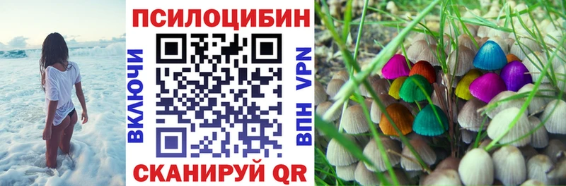 наркота  Рубцовск  Псилоцибиновые грибы Cubensis 